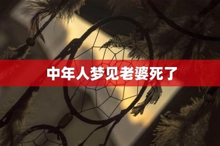 2007年属猪一生命运如何