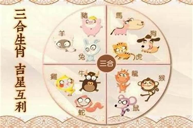 八字婚姻:属鼠和属龙的相配吗 能合财吗
