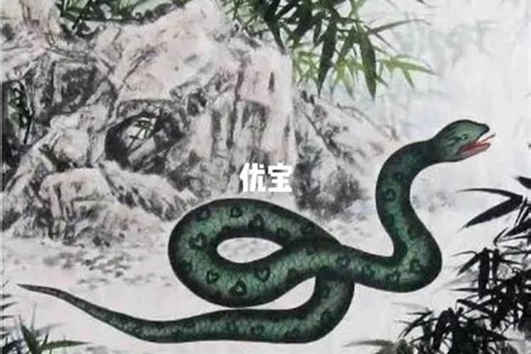 蛇本命年2025要佩戴什么饰品