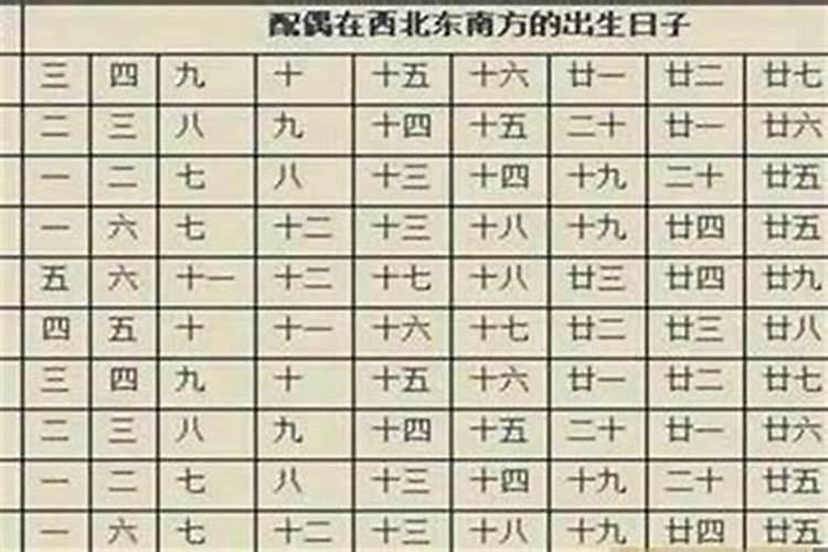 生肖马2025年运势及运程有哪几个
