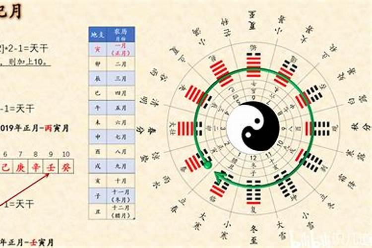 夫妻八字天干地支相合,夫妻相合是看天干还是地支？