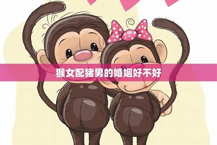 八字合婚:属猴的女人与属猪男相配吗 两人有姻缘吗