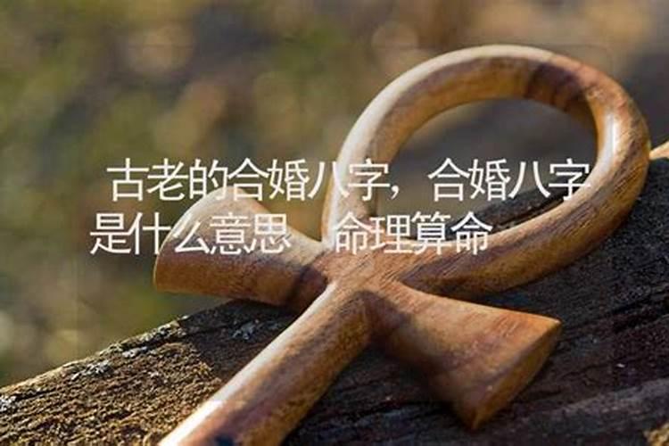 应下节的意思是什么