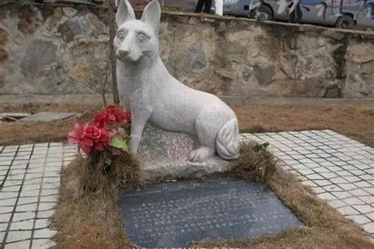 梦见被死去的狗咬的预兆