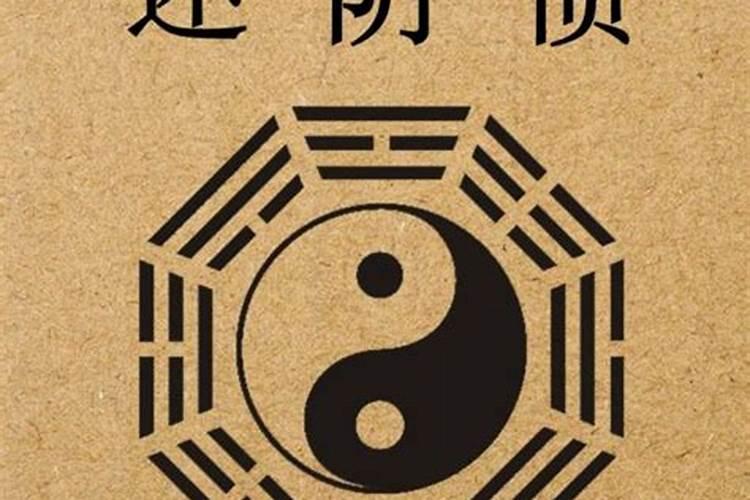 19999今年属兔命运怎样