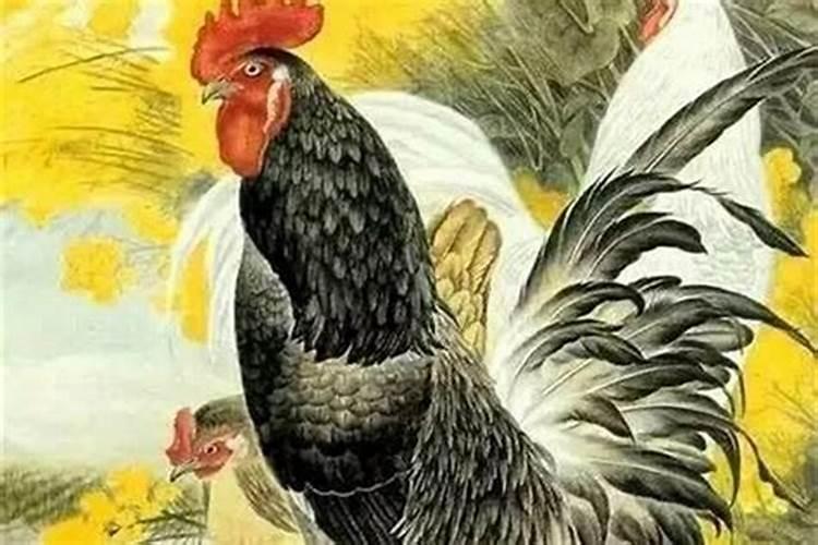 梦见我男朋友认的表妹怀了我男朋友的孩子,求解啊
