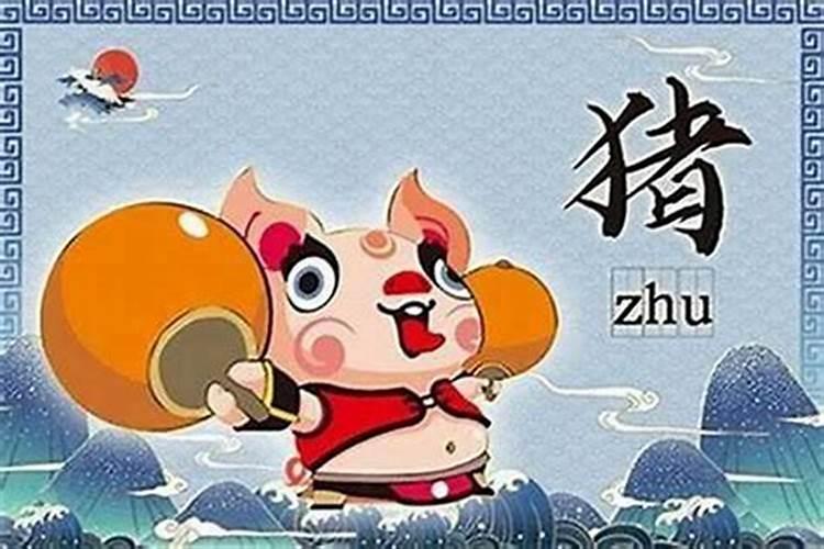 2024年属猪犯太岁佩戴什么 佩戴天河石、红绳