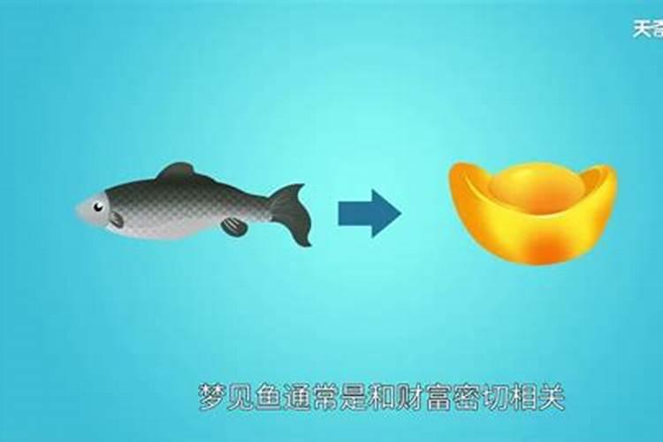梦见和爸爸在河里抓鱼的预兆