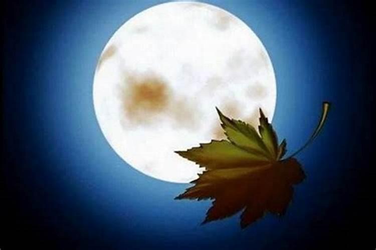 2025属羊犯太岁吗？属羊人的2025年运势如何？