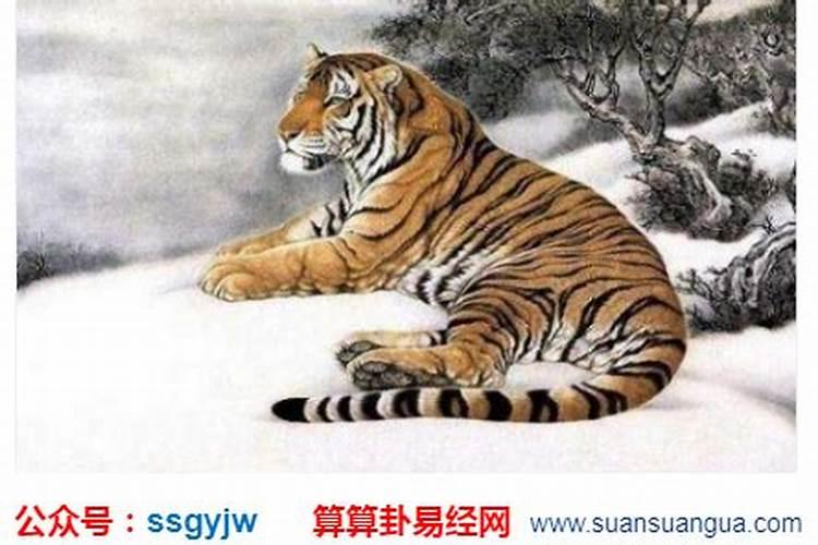 生肖牛2025年运势及运程如何