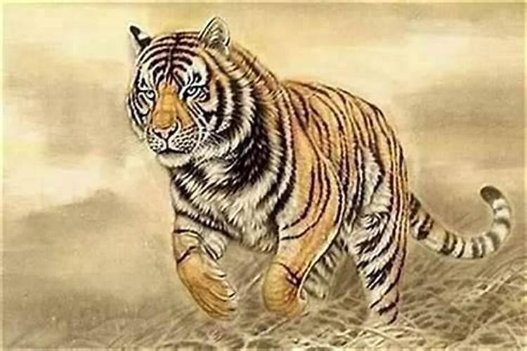 女人犯桃花是什么意思？