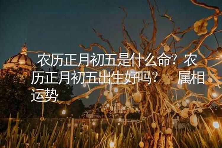 1984阴历12月16日子时出生什么命