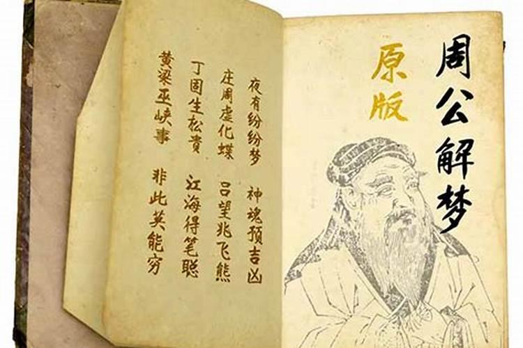 周公解梦梦见猫