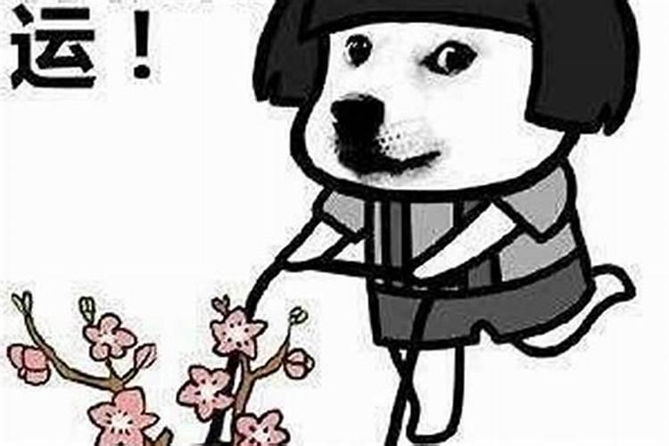 梦见妹妹怀孕了是什么意思？