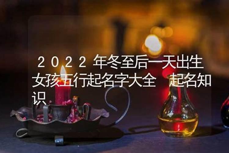 2025年属龙人的运势