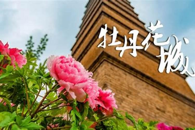 破财漏财怎么化解