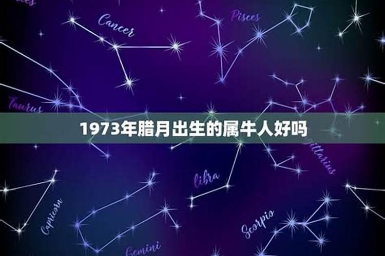 1973年牛女在2025年运势