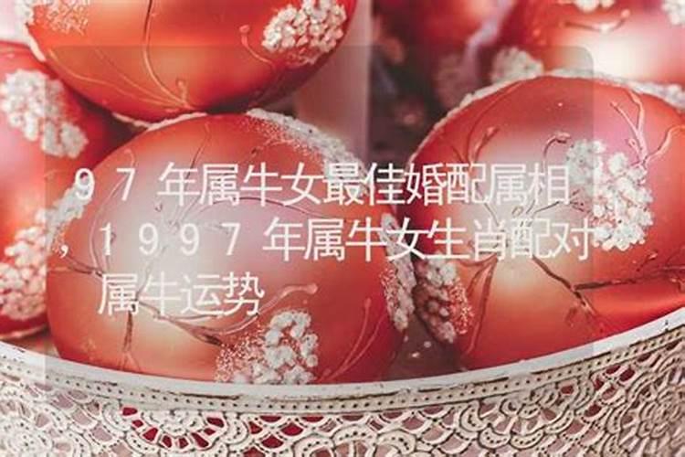 1997属牛2025年运势及运程