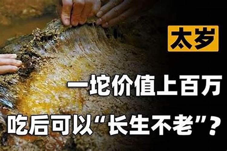 养太岁最新方法 养太岁的方法介绍