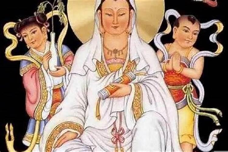 怎么养殖太岁 如何养殖太岁