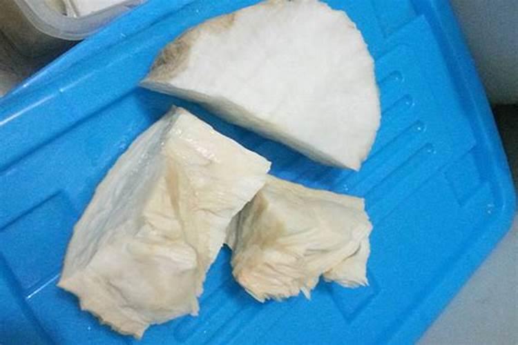 养太岁最新方法