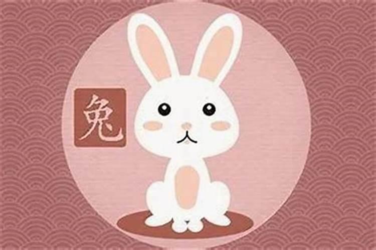 春季运动会活动流程