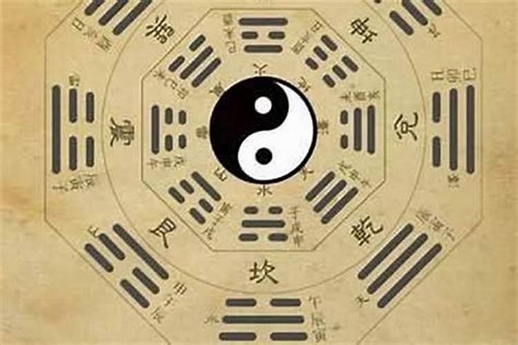 七五年的兔在2025年里运气怎么样