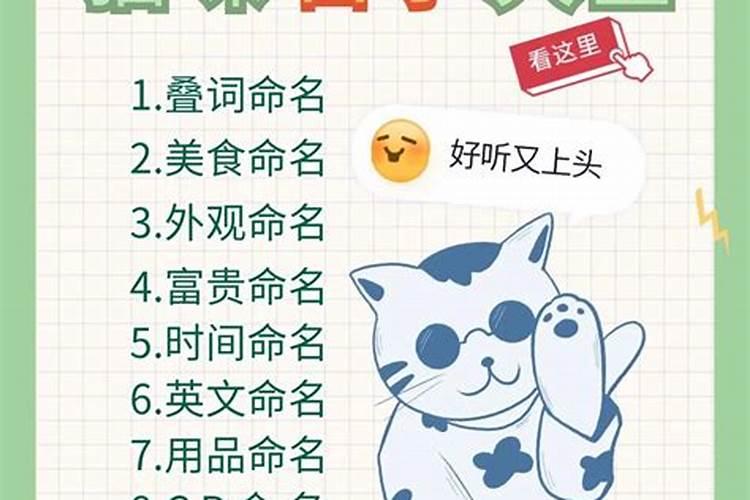 属龙2025运势及运程详解 属龙人2025年每月运势