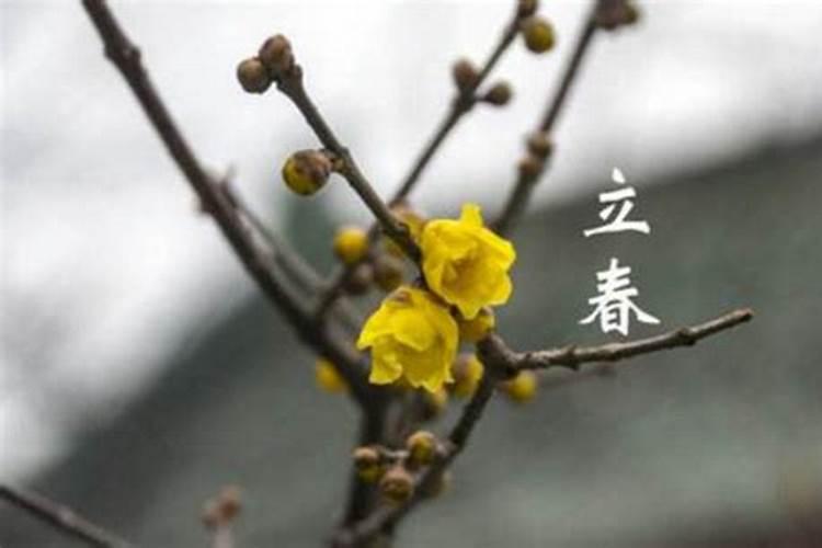 立鸡蛋的迷信做法