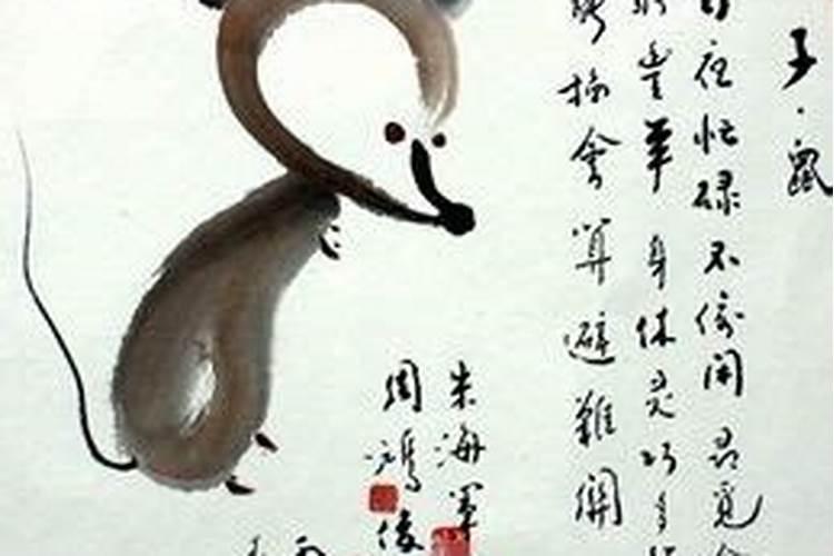 属虎跟属鼠的合不合婚,属虎属鼠适合做夫妻吗