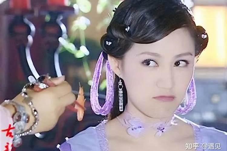 梦见小狗因我而摔死的预兆
