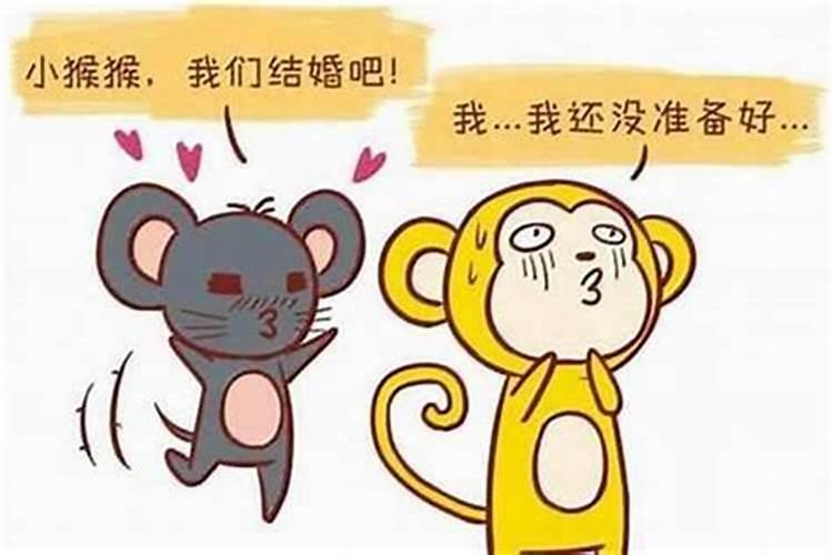 八字合婚:属羊的女人和属猴男能配吗 婚姻好不好