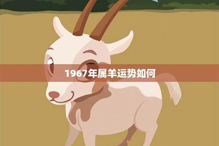 生肖蛇2025年运势及运程如何