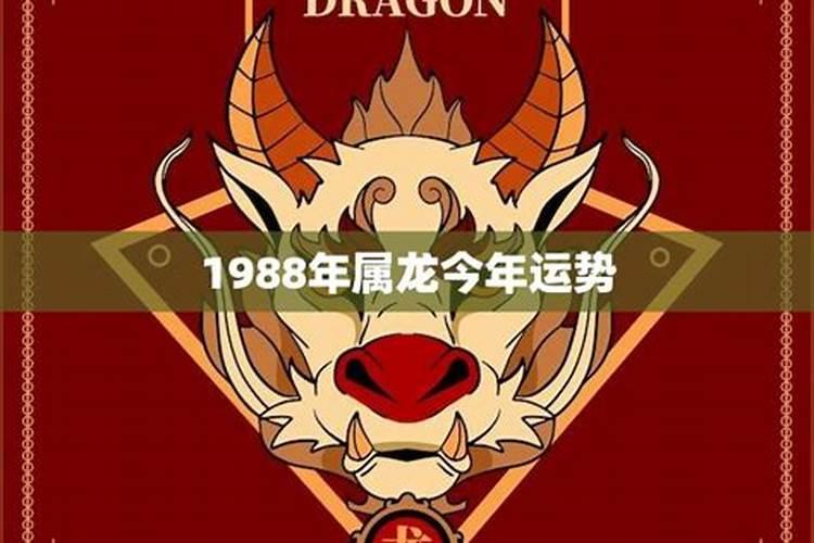 71年属猪男每月运势