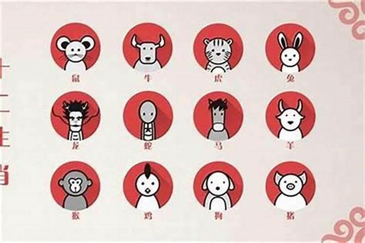 阴历1991年12月16日是什么座的