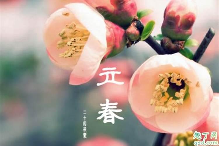 关于立春的英文介绍