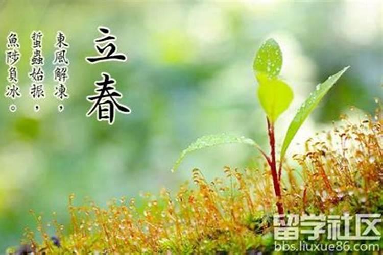 立春的民间风俗,立春有什么传统活动