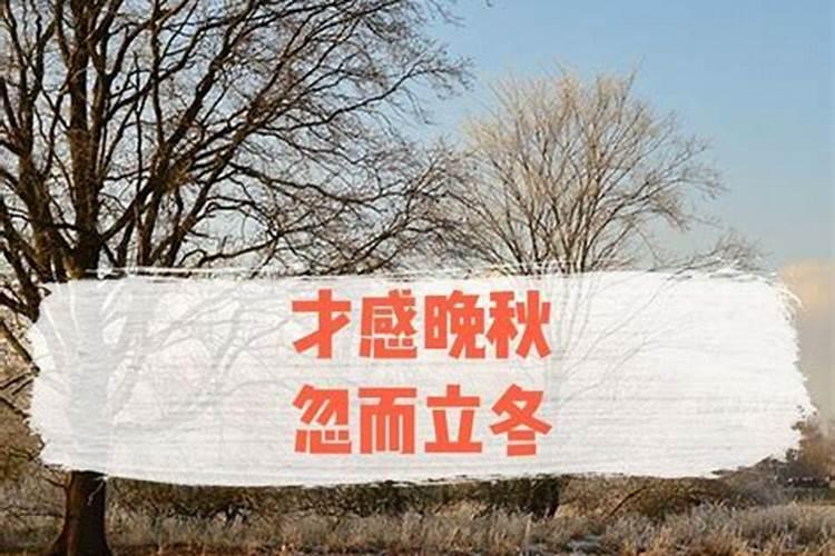 立冬交运注意什么
