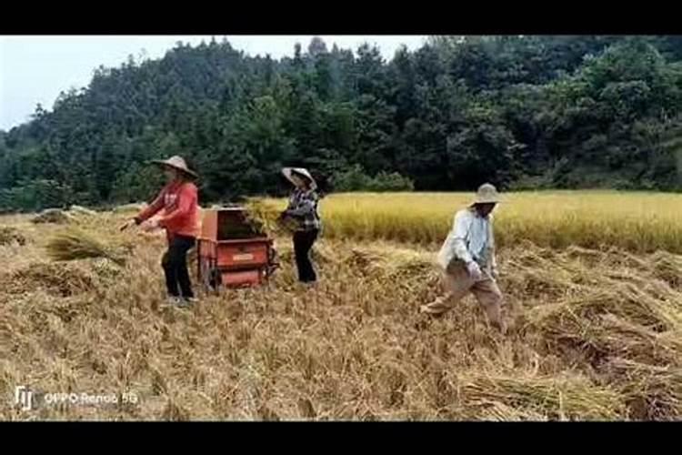 什么房子最好守财最旺风水