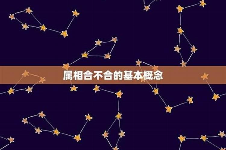 男蛇和女兔属相合不合,男蛇盘女兔是几等婚姻