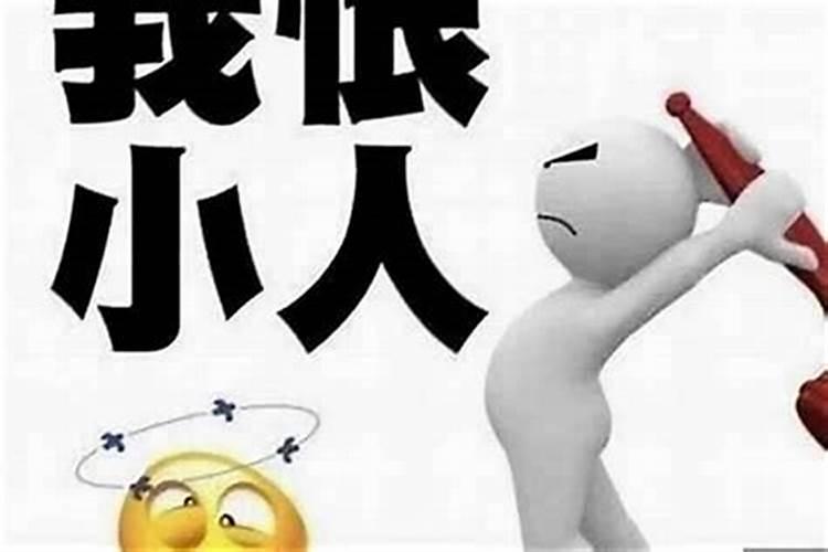 什么是小人小人的意思
