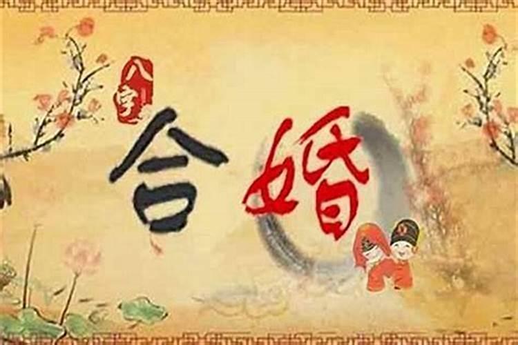 合八字是合的哪八字,怎么合八字