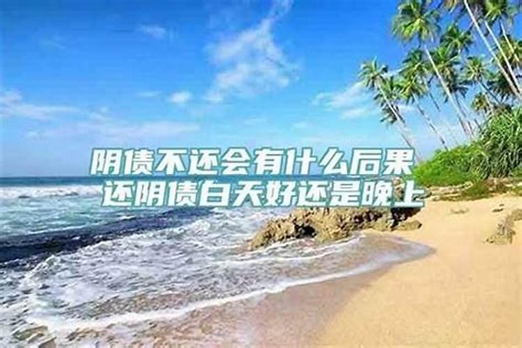 2025年的生肖是什么生肖