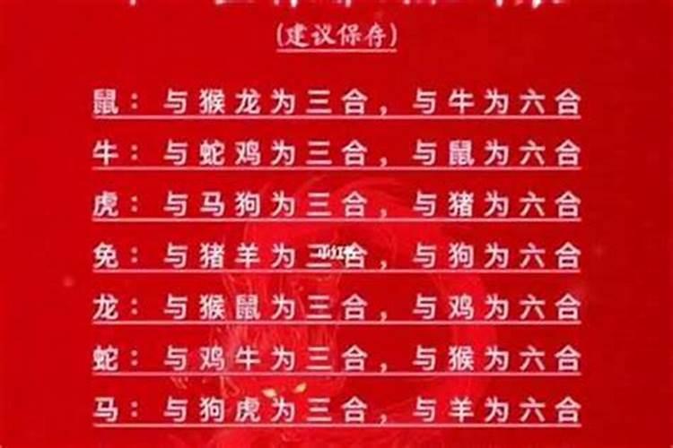 男属鼠找什么属相较好 男属鼠和什么属相较配