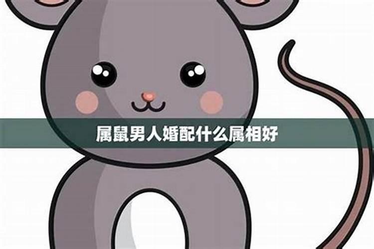 鼠男的婚姻更佳配偶,属鼠男孩婚配什么属相最配