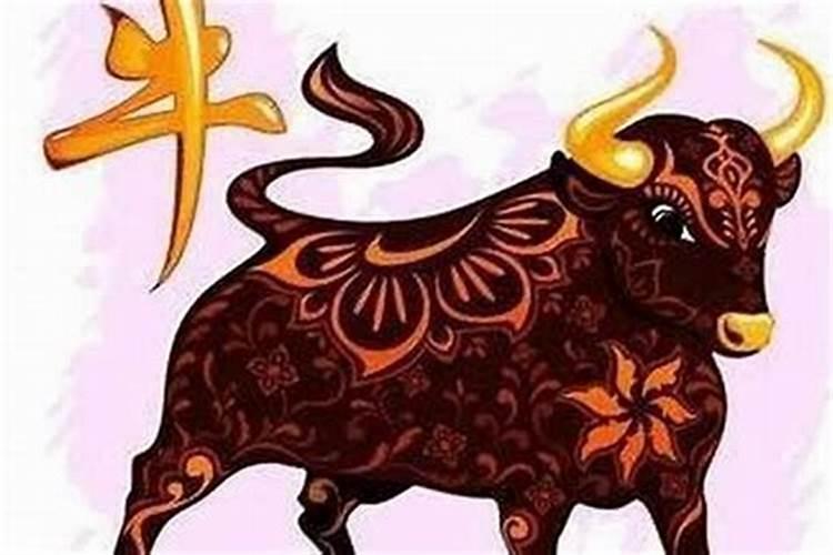 属牛男和什么属相最配最好