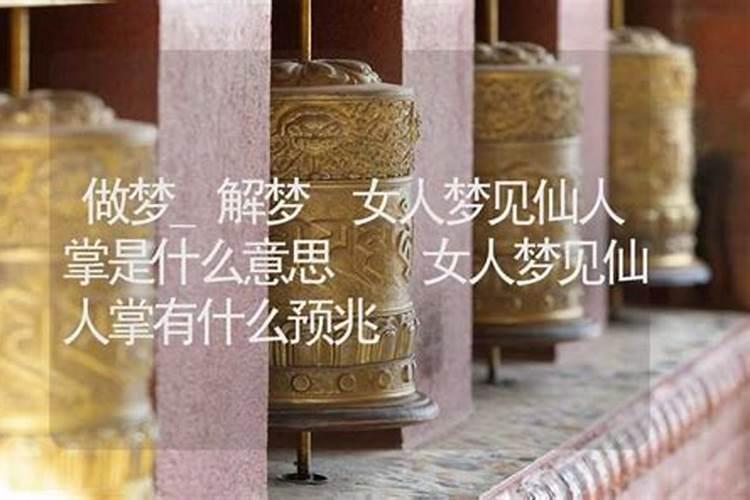 梦见很多老仙人的预兆