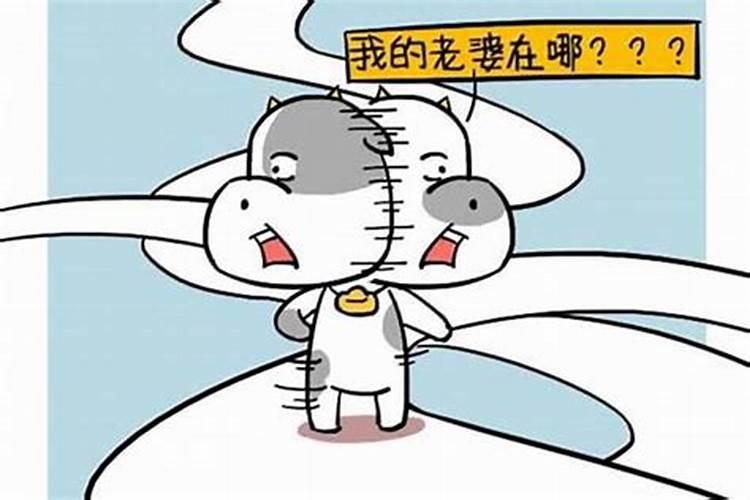 清明烧纸路引怎么写