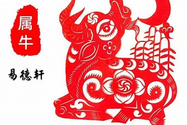 牛年不同月份出生的人的命运 牛年不同月份出生的人的命运怎么样...