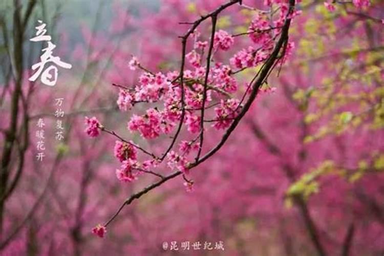 人人都笑超女海选多奇葩,我倒怀念她们还敢做梦